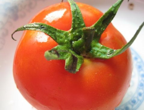 西红柿焖菜花的做法大全