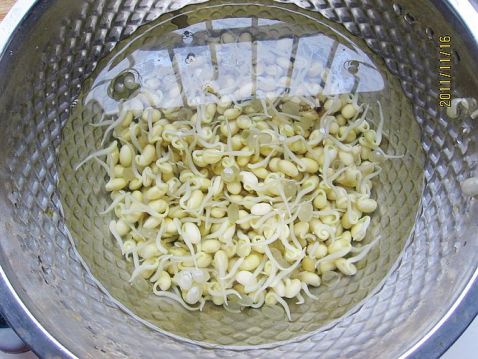 黄豆芽炒榨菜的家常做法