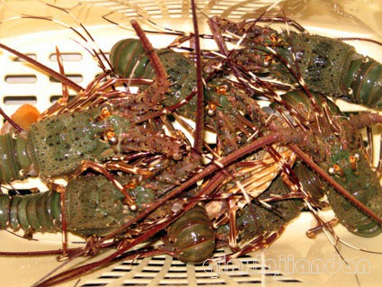 白灼龙虾与龙虾汤面的做法大全