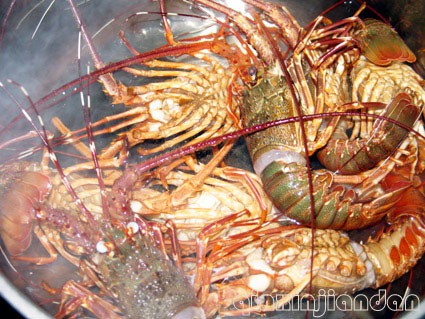 白灼龙虾与龙虾汤面的做法图解