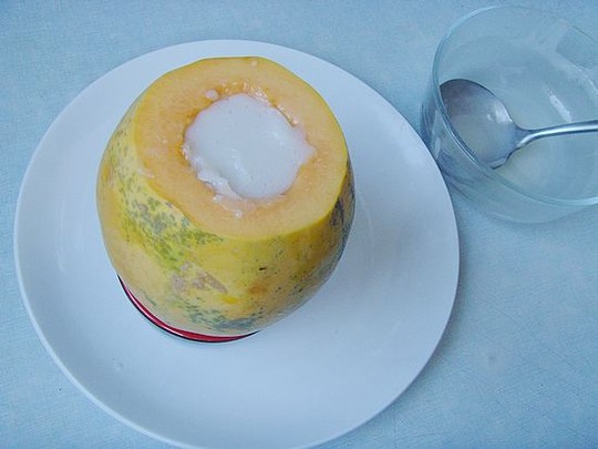 木瓜椰奶冻菜谱图解