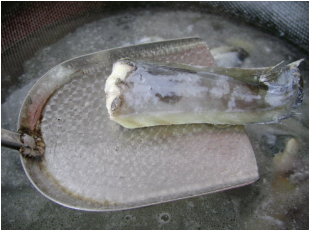 猪脚煲鳗鱼汤的家常做法