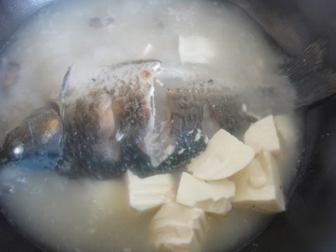 冬季养胃鲫鱼豆腐汤菜谱图解