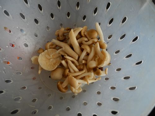 西红柿海米蘑菇汤的简单做法