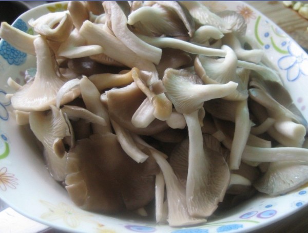 肉末豆腐炒平菇